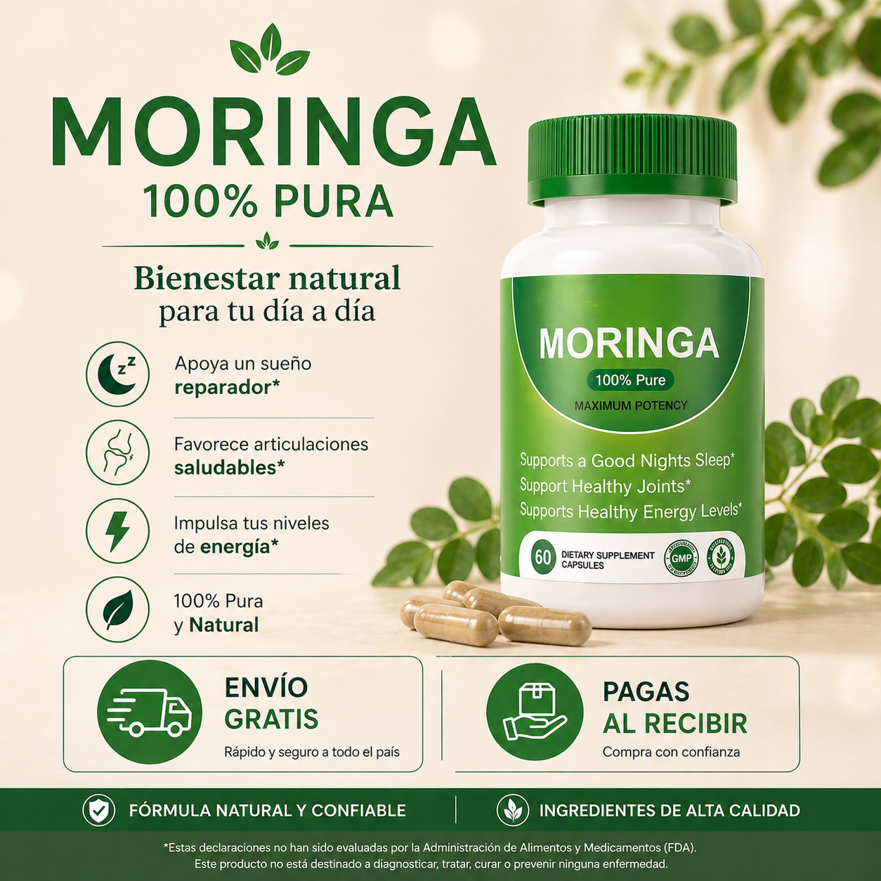 Moringa Cápsulas — Energía, Metabolismo e Inmunidad | 100% Orgánica